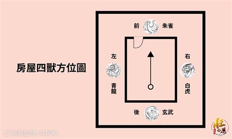 大門龍邊碰壁化解|【大門龍邊碰壁】大門龍邊碰壁？教你化解煞氣、提升運勢秘訣 –